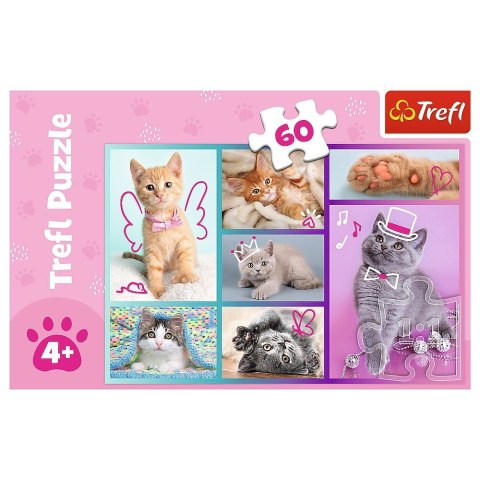 Puzzle 60 elementów Słodkie kociaki Puzzle 60 elementów Słodkie kociaki