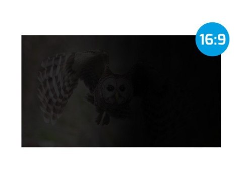 Filtr prywatyzujący RODO Owl 21.5 cala 16:9 Filtr prywatyzujący RODO Owl 21.5 cala 16:9