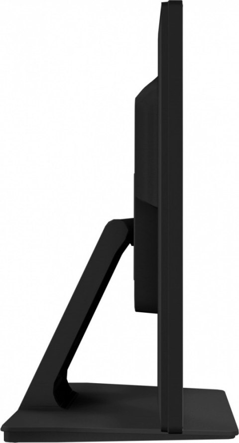 Monitor 23.8 cala T2452MSC-B1 10 PKT. POJ,IPS,HDMI,DP Monitor 23.8 cala T2452MSC-B1 10 PKT. POJ,IPS,HDMI,DP