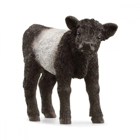 Figurka ciele rasy Galloway Figurka ciele rasy Galloway