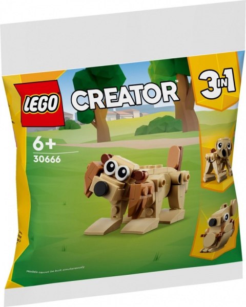 Display Polybag MIX 24 Display Polybag MIX 24
