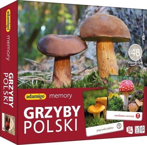 Gra Memory - Grzyby Polski Gra Memory - Grzyby Polski