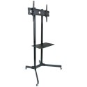 Stojak mobilny LCD/LED 30-65cali,60kg, regulowany
