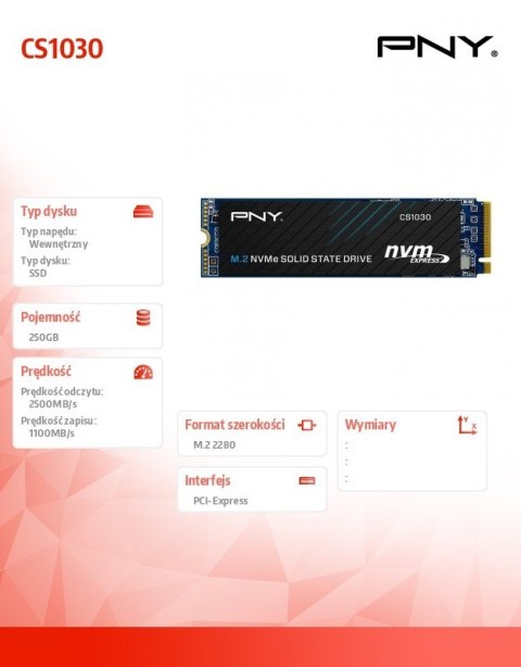 Dysk SSD 250GB M.2 2280 CS1030 M280CS1030-250-RB Dysk SSD 250GB M.2 2280 CS1030 M280CS1030-250-RB