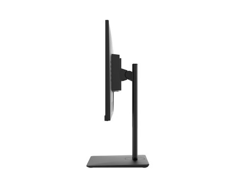 Monitor 23.8 cala PRO MP242AP LED/FHD/Flat/100Hz/czarny