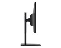 Monitor PRO MP251P 24.5 cala/LED/FHD/Flat/100Hz/Czarny