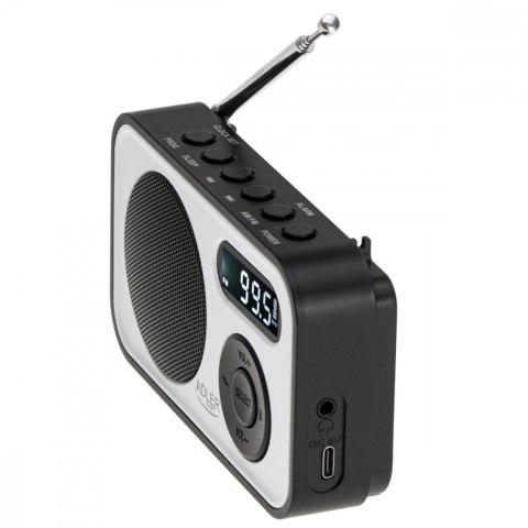 Radio cyfrowe PLL AM/FM AD1906 Radio cyfrowe PLL AM/FM AD1906
