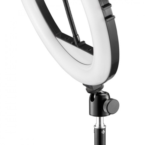 Lampa pierścieniowa na statywie Lampa pierścieniowa na statywie