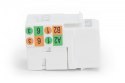 Moduł Keystone RJ45 kat.6 UTP LSA Moduł Keystone RJ45 kat.6 UTP LSA