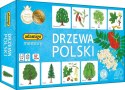 Gra Memory - Drzewa Polski Gra Memory - Drzewa Polski