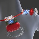 Masażer EMS mięśni szyi i karku EMS Neck Massager MT6534 Masażer EMS mięśni szyi i karku EMS Neck Massager MT6534