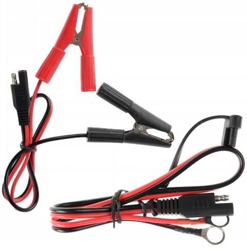 PROSTOWNIK AUTOMATYCZNY VOLT POLSKA 10A 12/24V LCD PROSTOWNIK AUTOMATYCZNY VOLT POLSKA 10A 12/24V LCD