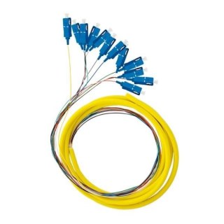 12X Pigtail SC/UPC SM