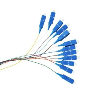12X Pigtail SC/UPC SM