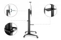 Stojak mobilny pojedynczy z półką i uchwytem na kamerę, 1xLCD max. 120" max. 140kg, VESA max. 1000x600 Stojak mobilny pojedynczy z półką i uchwytem na kamerę, 1xLCD max. 120" max. 140kg, VESA max. 1000x600