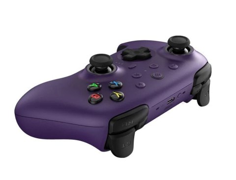 Gamepad Ultimate 2 Wirel Gamepad Ultimate 2 Wirel