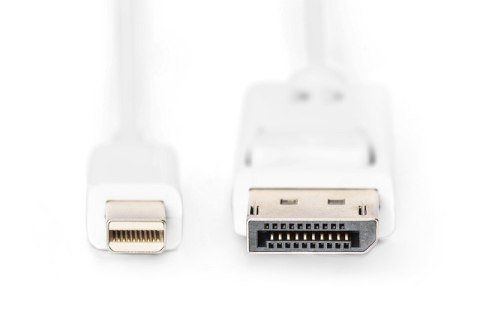 Kabel połączeniowy Displayport 4K 60Hz UHD Typ miniDP/DP M/M biały 2m Kabel połączeniowy Displayport 4K 60Hz UHD Typ miniDP/DP M/M biały 2m