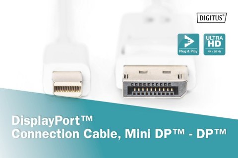 Kabel połączeniowy Displayport 4K 60Hz UHD Typ miniDP/DP M/M biały 2m Kabel połączeniowy Displayport 4K 60Hz UHD Typ miniDP/DP M/M biały 2m