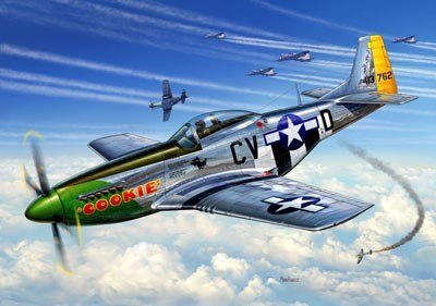 P-51D Mustang P-51D Mustang
