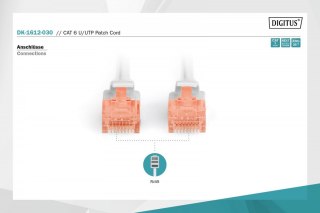 Patch cord U/UTP kat.6 PVC 3m szary