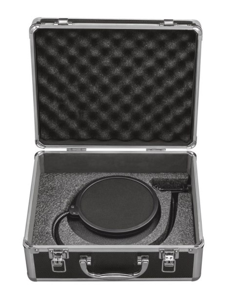 Emita USB studio microphone Emita USB studio microphone