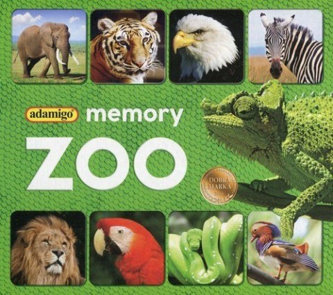Memory ZOO Memory ZOO