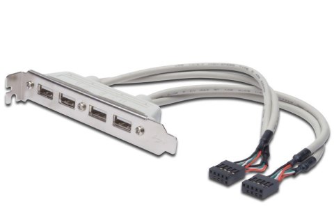 Kabel na śledziu USB 2.0 HighSpeed Typ 2xIDC (5pin)/4xUSB A M/Ż szary 0,25m Kabel na śledziu USB 2.0 HighSpeed Typ 2xIDC (5pin)/4xUSB A M/Ż szary 0,25m