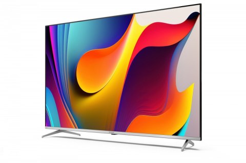 Telewizor LED 55 cali 55FP1EA Telewizor LED 55 cali 55FP1EA