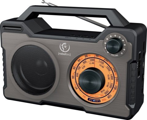 Głośnik Bluetoooth/Radio RODOS Głośnik Bluetoooth/Radio RODOS