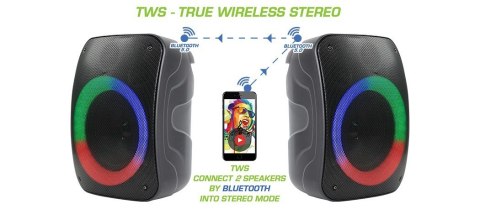 Głośnik Bluetooth STAGE 300 Głośnik Bluetooth STAGE 300