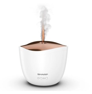 Aromatyzer powietrza DF-A1E-W