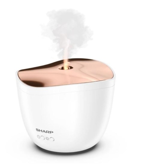 Aromatyzer powietrza DF-A1E-W