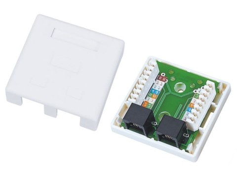 Gniazdo natynkowe UTP kat.6 2xRJ45 Gniazdo natynkowe UTP kat.6 2xRJ45