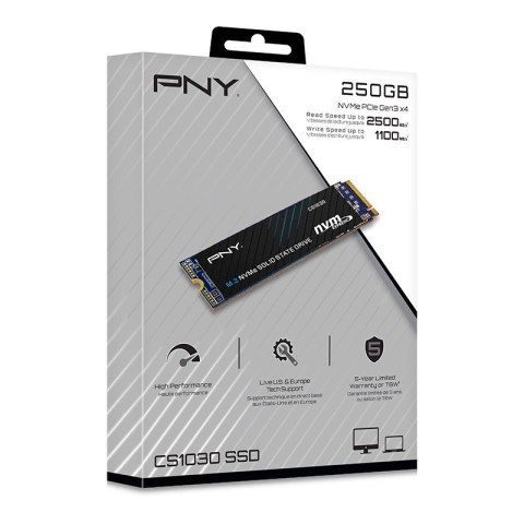 Dysk SSD 250GB M.2 2280 CS1030 M280CS1030-250-RB Dysk SSD 250GB M.2 2280 CS1030 M280CS1030-250-RB