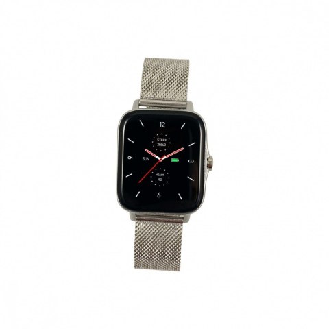 Smartwatch Fit FW55 Aurum Pro srebrny Smartwatch Fit FW55 Aurum Pro srebrny